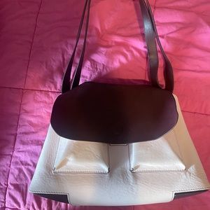 Fossil reversible bag